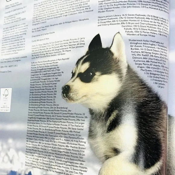 I LOVE SNOW BABIES Book Explore Over 40 Ice and Snow Adorable Animal Babies - Picture 3 of 5